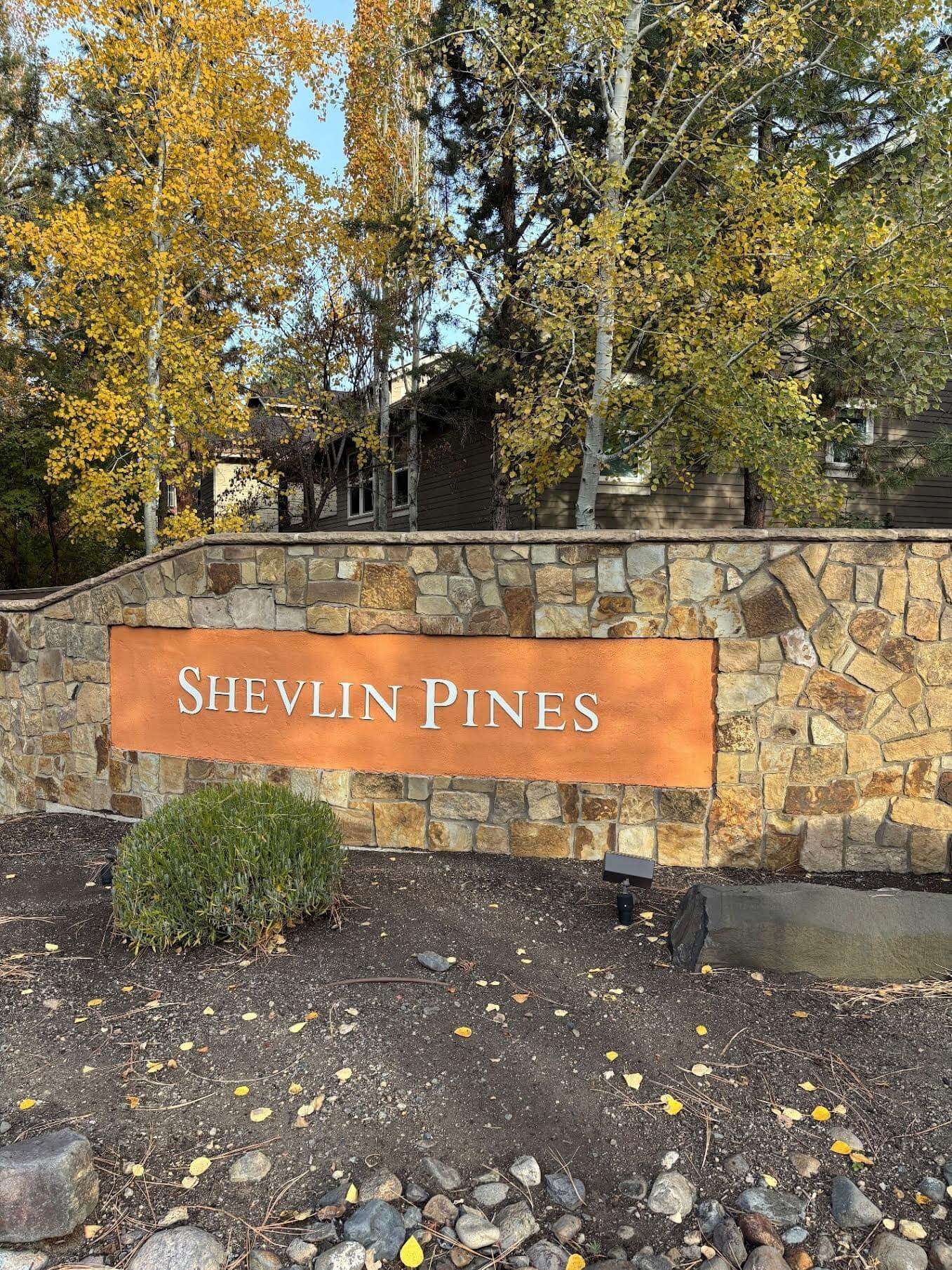 shevlin pines hoa